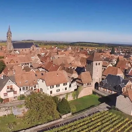 Apartamento Au Calme Dans Vignoble Alsacien